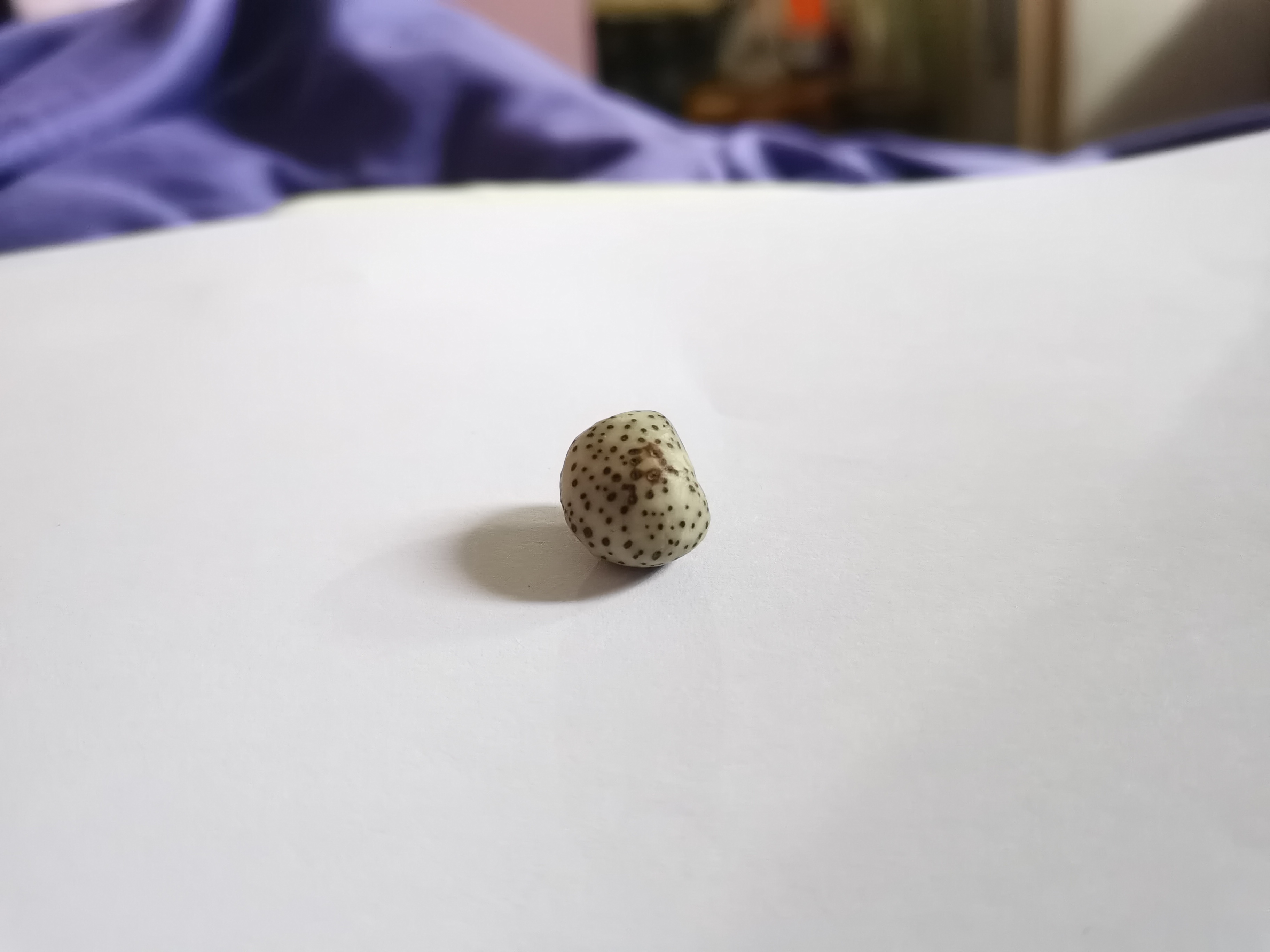 星月菩提手串制作工艺
