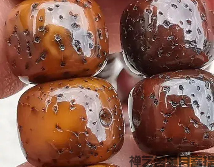 如何挑选好的星月菩提