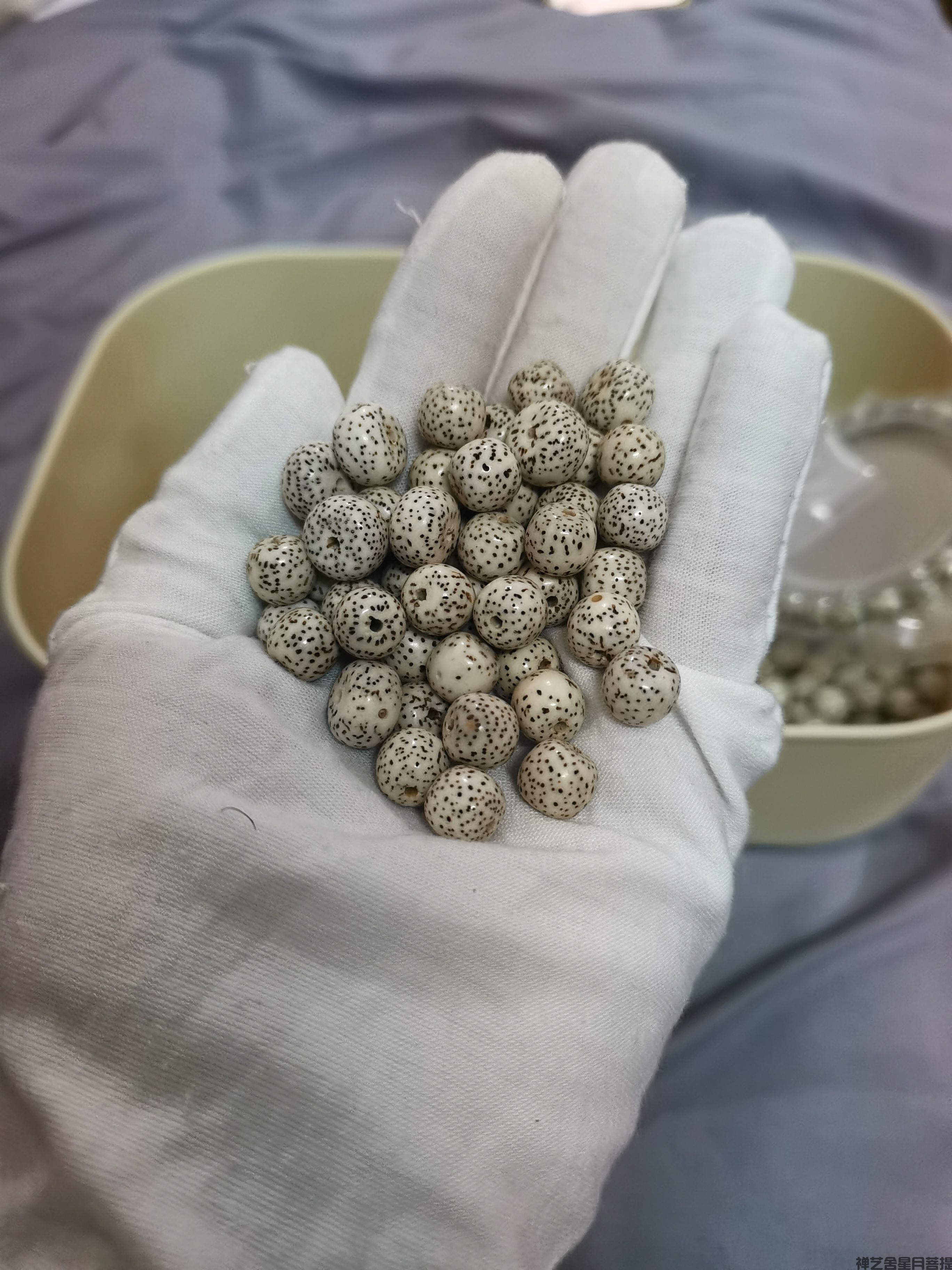 挑选星月菩提这些品相细节你不得不看！